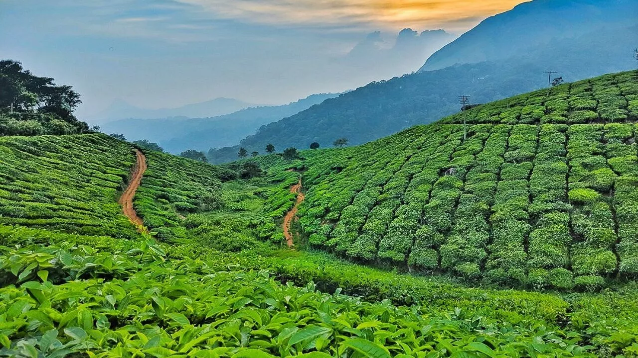 Discover Sreemangal with BookingBee.net: Your Gateway to Nature's Paradise
