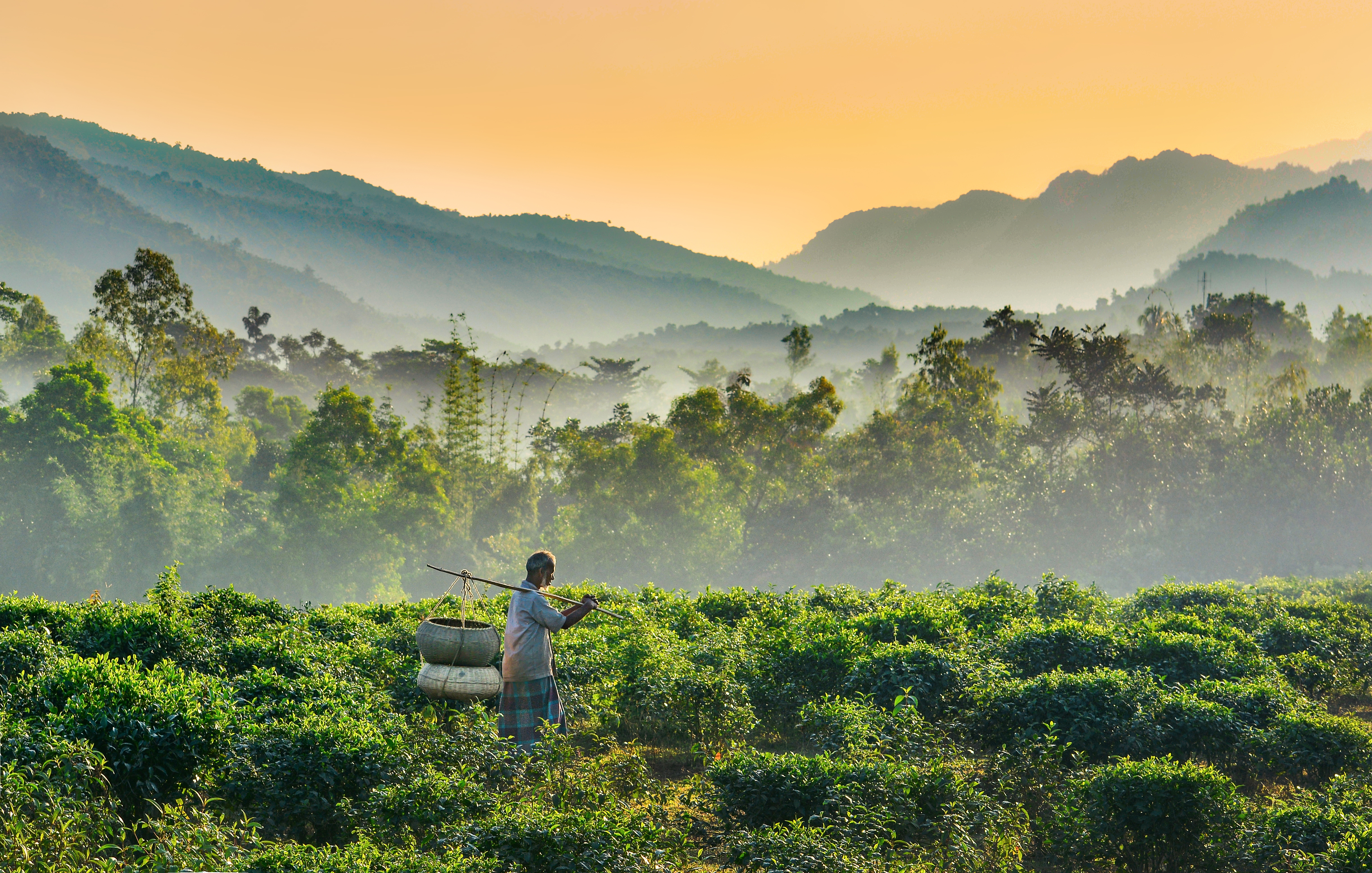 Experience the Serenity of Bandarban with BookingBee.net