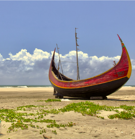 Explore Cox's Bazar with BookingBee.net: Your Ultimate Travel Partner